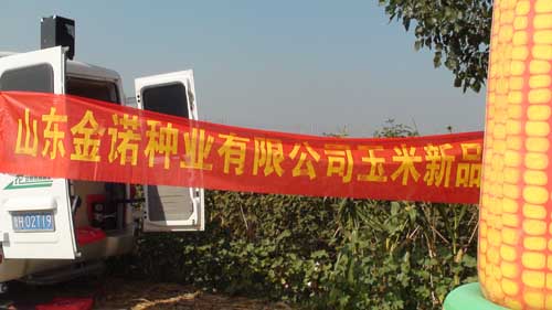 鿴ϸϢ⣺Ħ Ķ2545