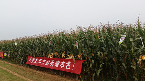 鿴ϸϢ⣺Ħ Ķ3655