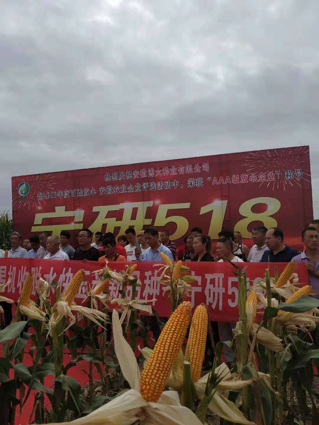 鿴ϸϢ⣺518 Ķ2065