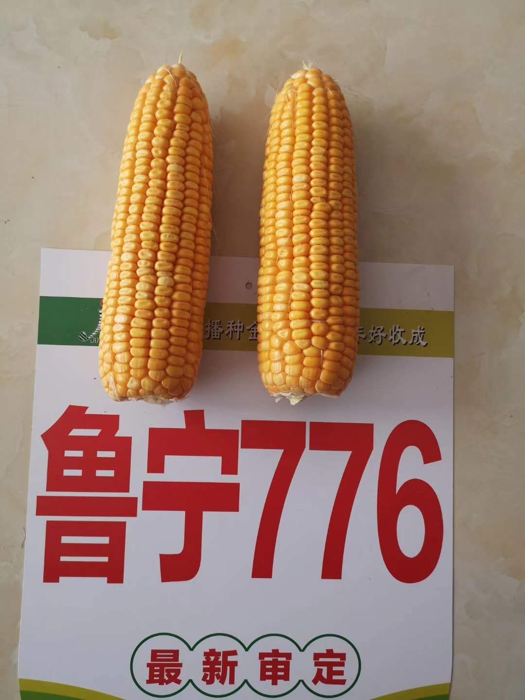 鿴ϸϢ⣺³776 Ķ2122
