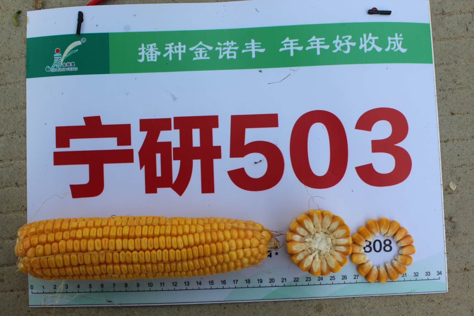 鿴ϸϢ⣺503 Ķ2509